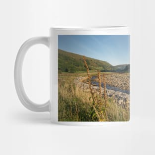 Swaledale Mug